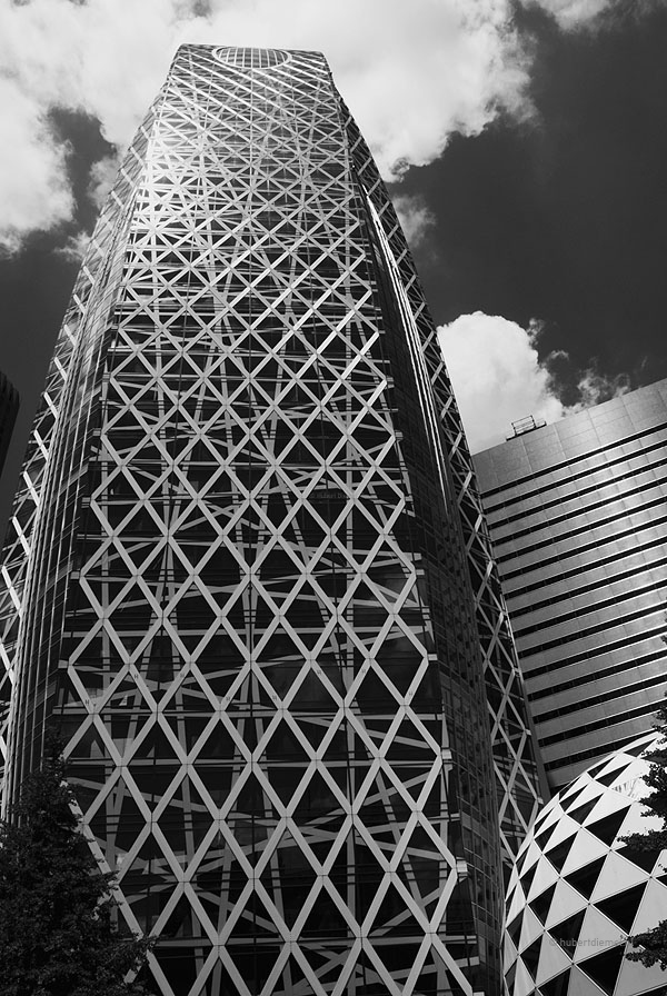 2010, Tokyo, Shinjuku, Cocoon Tower